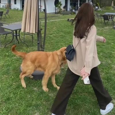 性腥闻