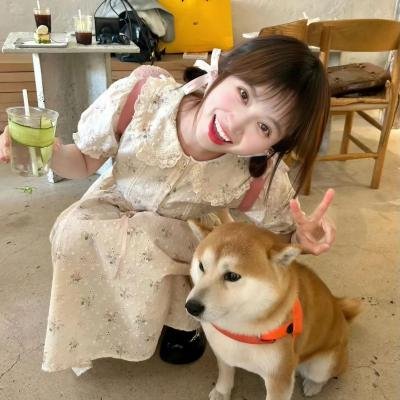 刀尖舞者